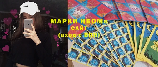 прущие грибы Болхов