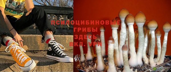 героин Абаза