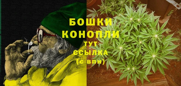 прущие грибы Болхов