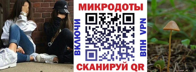 Галлюциногенные грибы Psilocybe  Клинцы 
