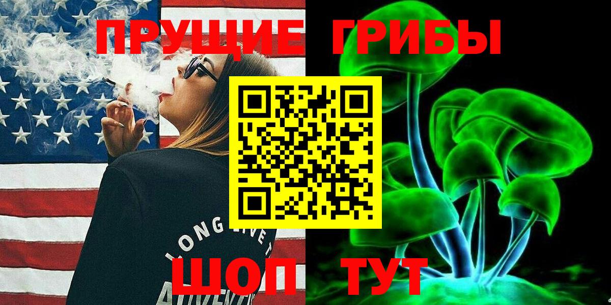 Псилоцибиновые грибы Psilocybine cubensis  Вход с VPN  Клинцы 