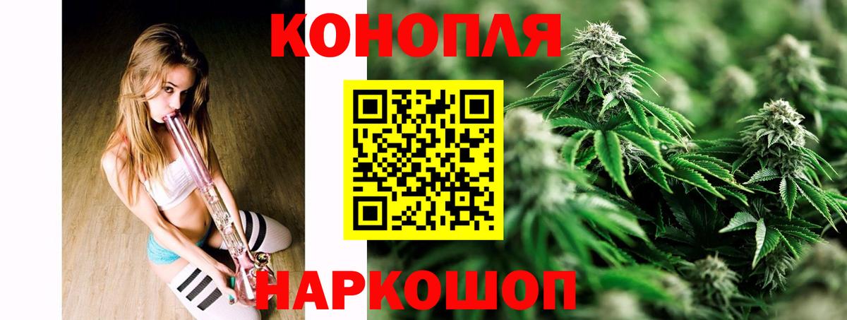 Каннабис тримм  Вход с VPN  Клинцы  Канабис планчик  МАРИХУАНА Bruce Banner 